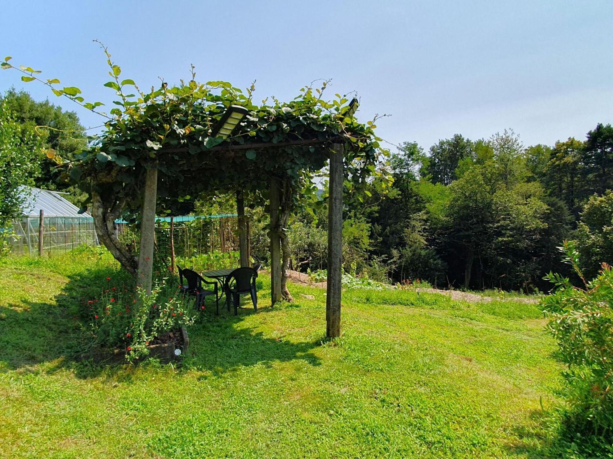 Villa With Enchanting Garden Overlooking The Lake Luino Bagian luar foto